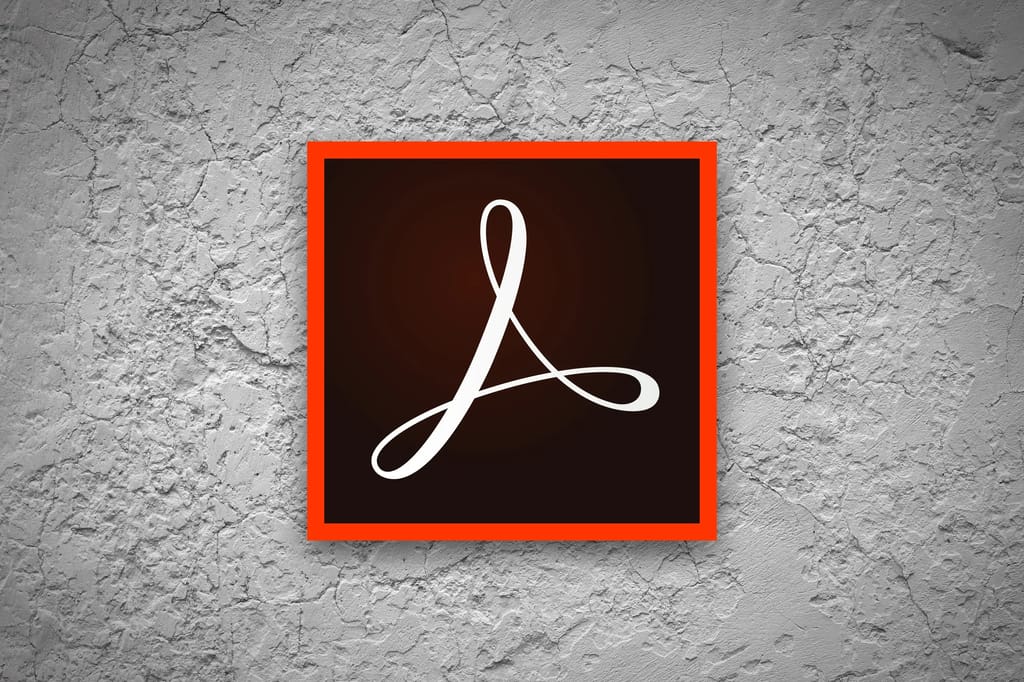 Adobe PDF view 2