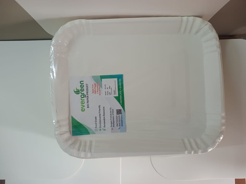 Evergreen Bio paper plate view 2