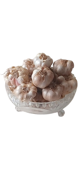AMMUSCO Premium Kodaikanal Hill Garlic – Natural Whole Garlic Bulbs High Aroma Farm Fresh Quality view 2