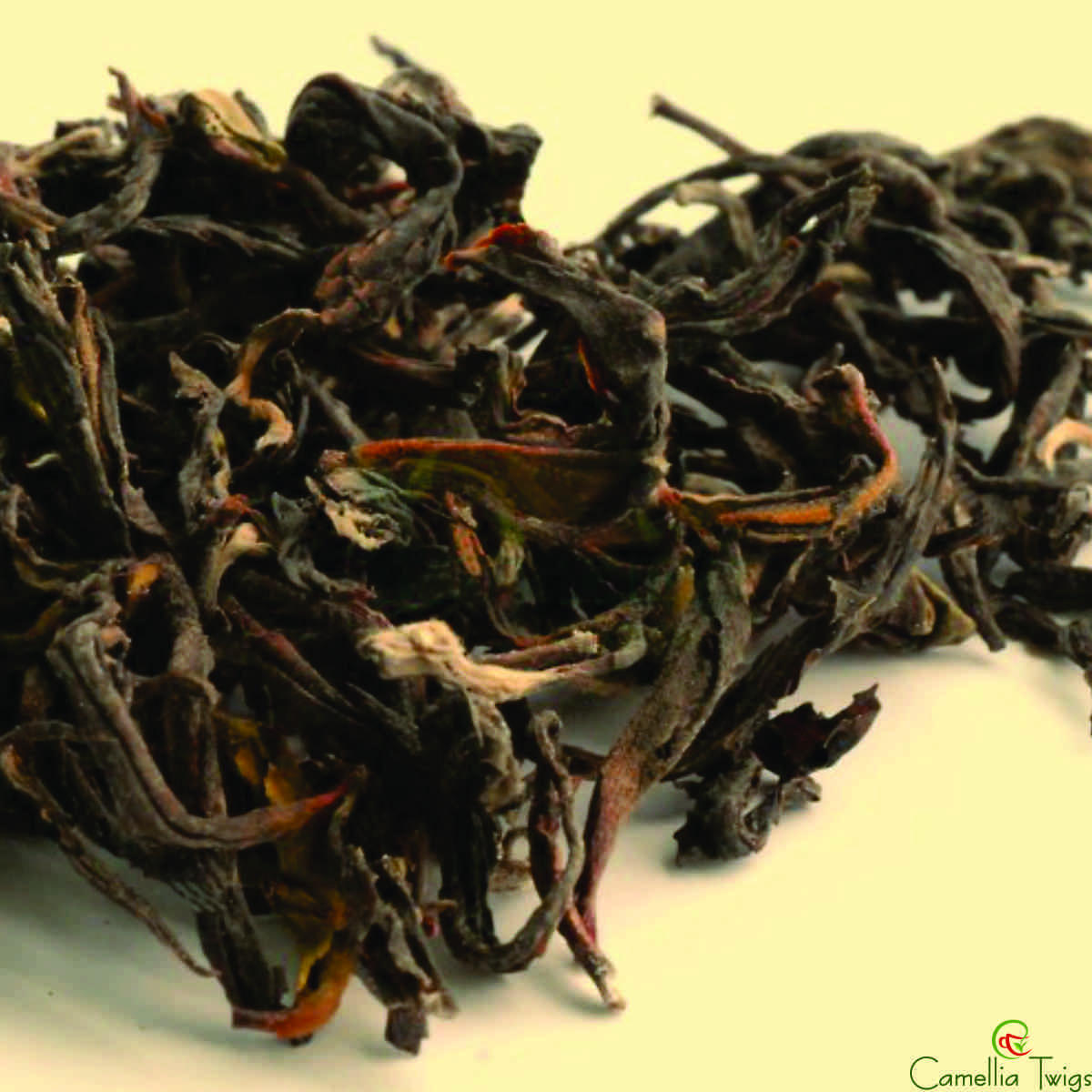 Camellia Twigs Premium Darjeeling Oolong Tea | Whole Leaf Loose Leaf Tea | Rich Aroma & Flavor | Handpicked | Antioxidant-Rich | 50g Reusable Can view 2