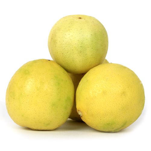 Lemon 4 pcs