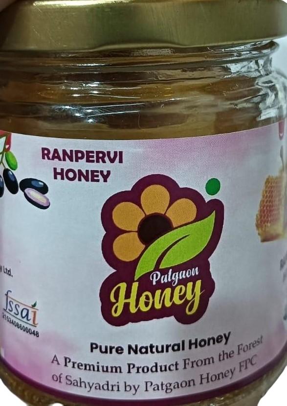 Patgaon Pure Honey 200g