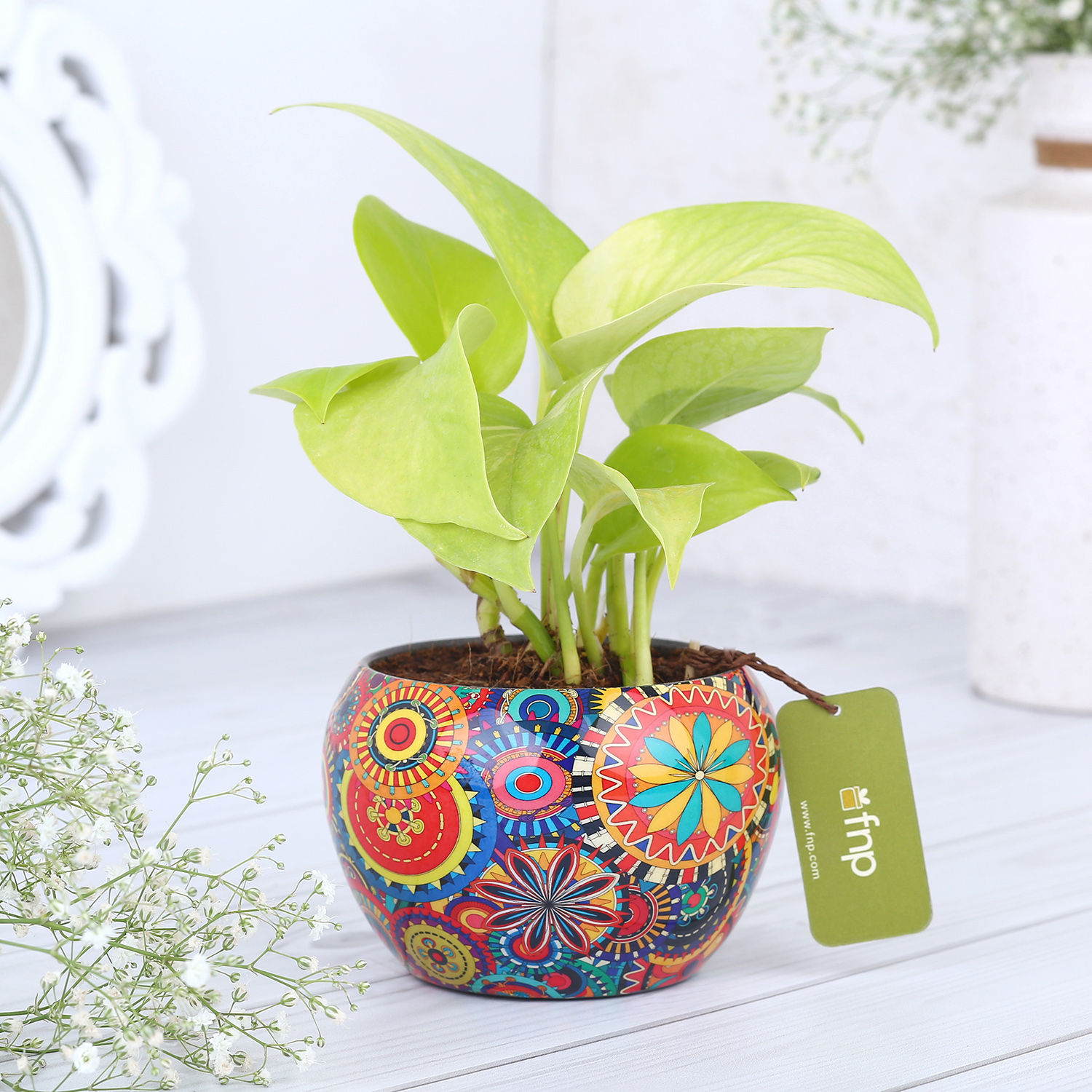 Money Plant In Colourfull Rajwada Printed Pot view 2