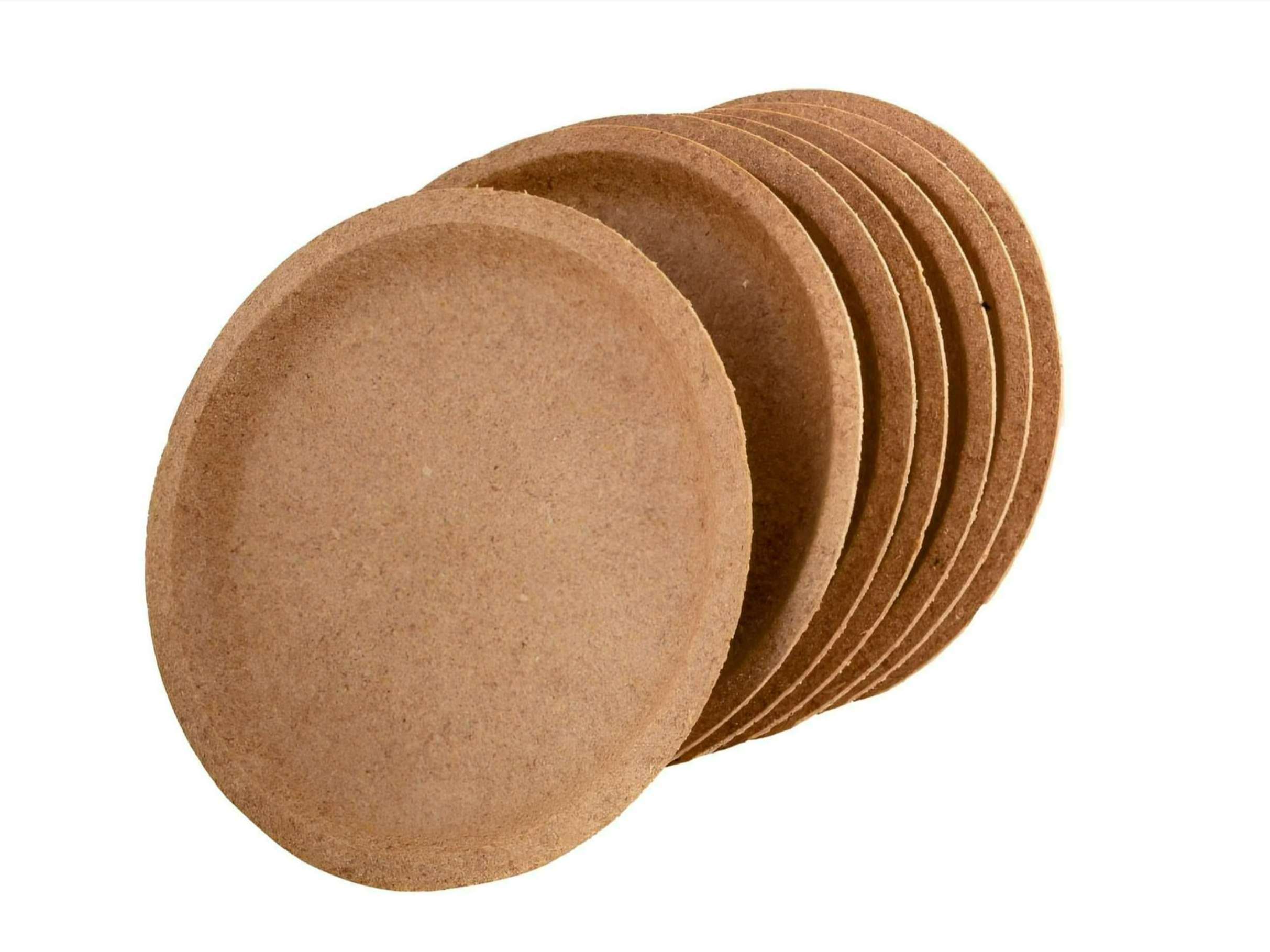 BIODEGRADABLE 10 INCH WHEAT BRAN DINNER PLATES- 10 NOS view 2