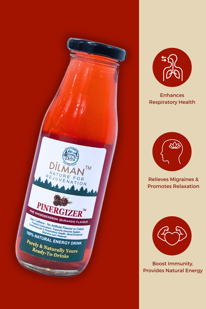 Pinergizer - 100% Natural Instant Energy Drink with Pine Rhododendron (Buransh) Flavor view 2