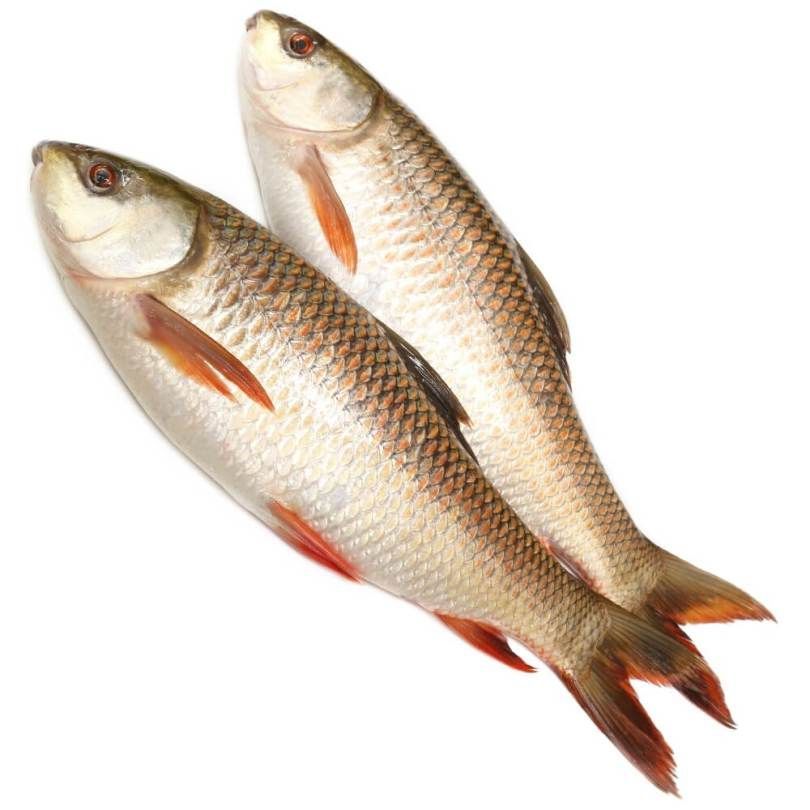 Rohu fish - 0.85 gm