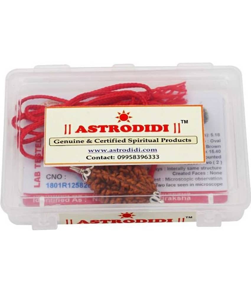 Astrodidi 2 Mukhi Rudraksha Pendant Wth Lab Certificate view 2