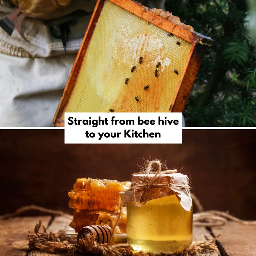 Honey Cherry view 2