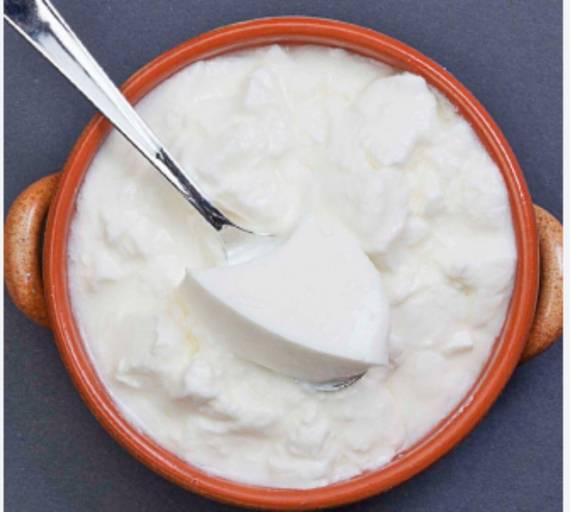 Plain Curd [500 Ml]
