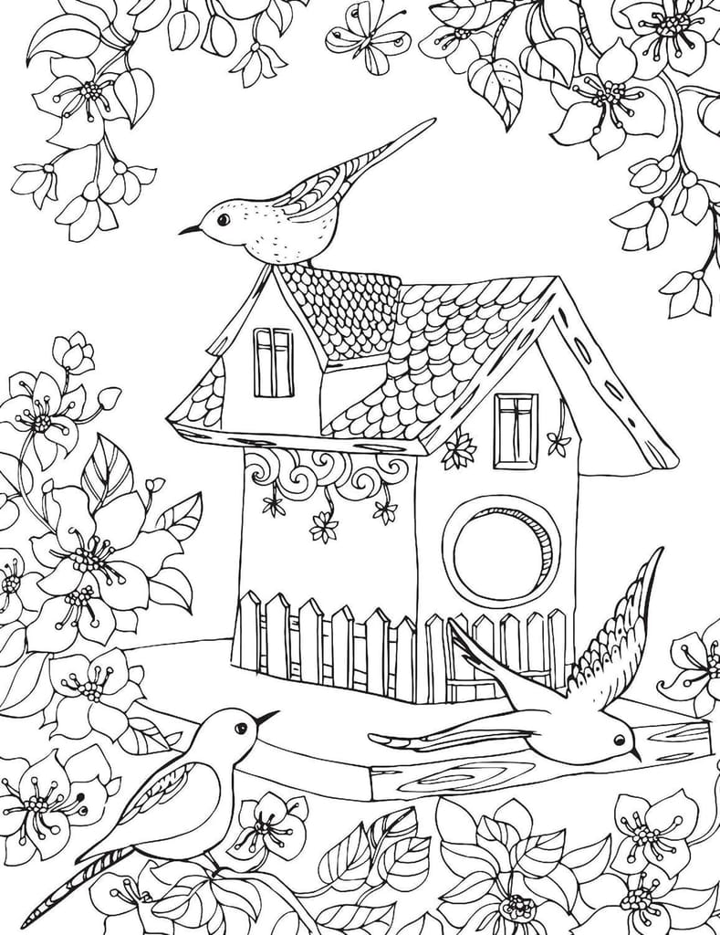Countryside- Colouring Book for Adults [Paperback] Dreamland Publications view 2