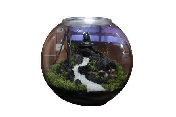 Aadi Yogi Terrarium