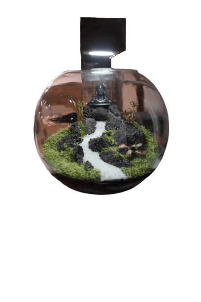 Aadi Yogi Terrarium view 2