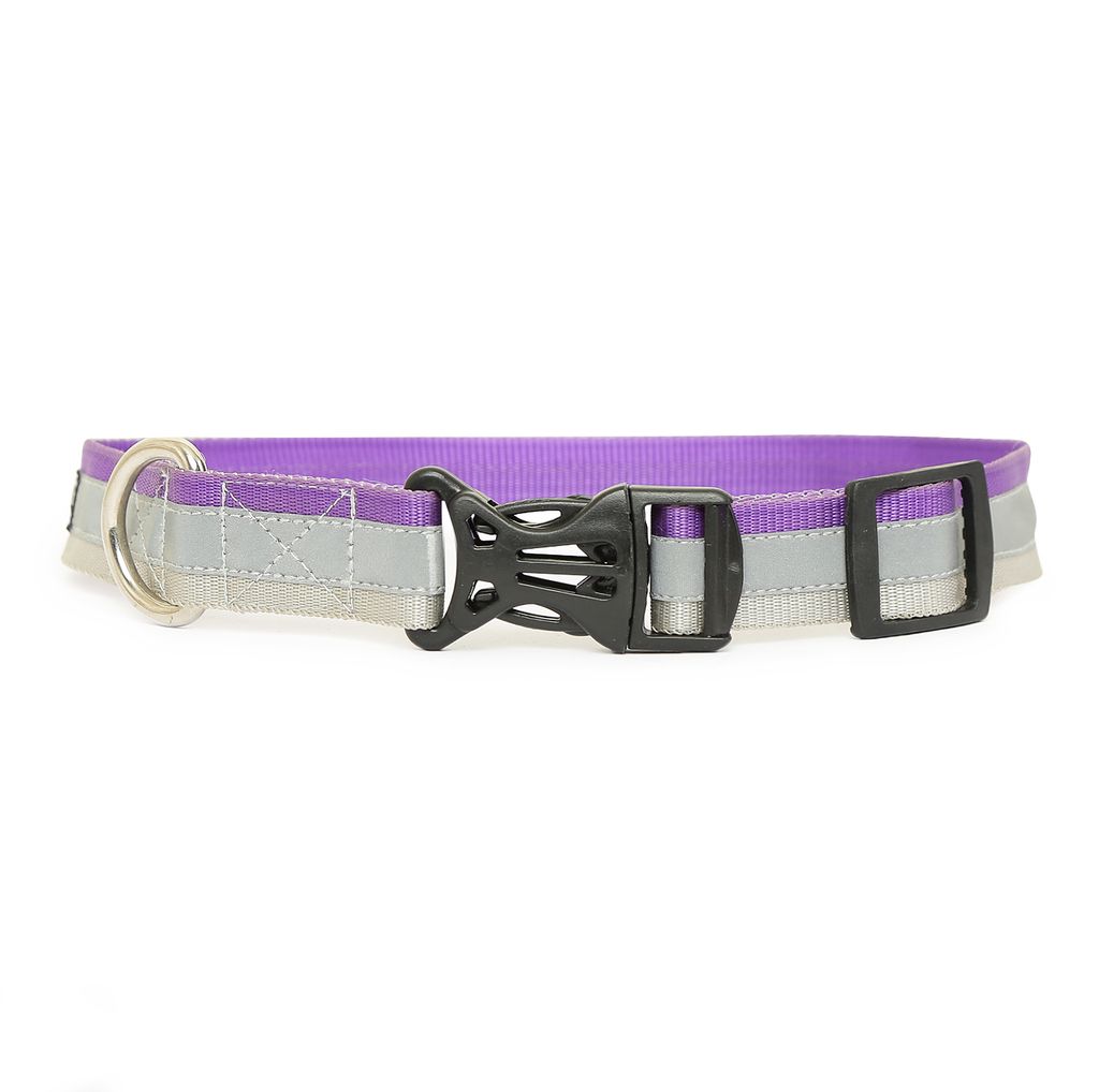FASHION TRENDY REFLECTING DOG COLLAR (Multicolor) SET OF 5 view 2