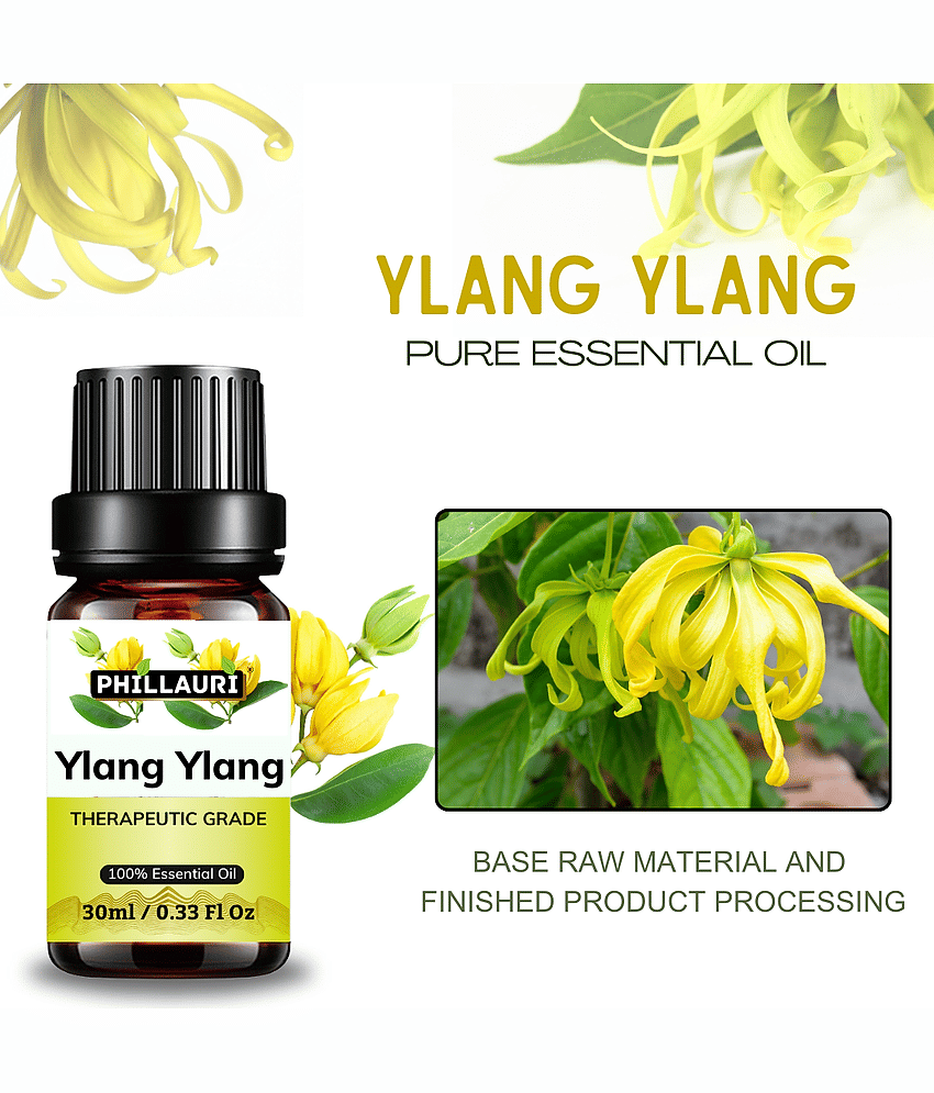 Phillauri Ylang-Ylang Others Essential Oil Fruity With Dropper 60 mL ( Pack of 2 ) view 2