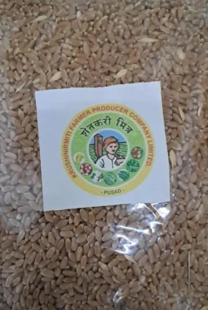 Wheat Grains 1kg