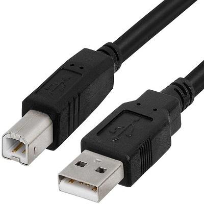 Champion USB Printer Cable, USB A Male to B Male For Canon, Dell, Epson, HP Printers and Scanners view 2