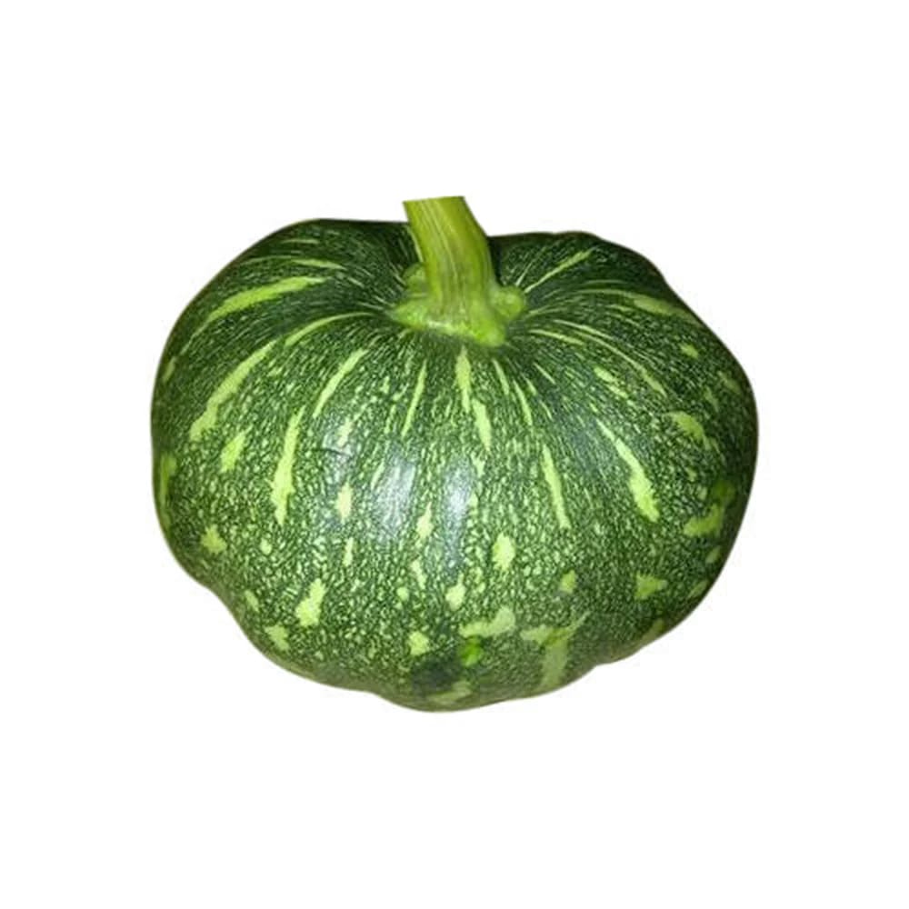 Green Pumpkin view 2