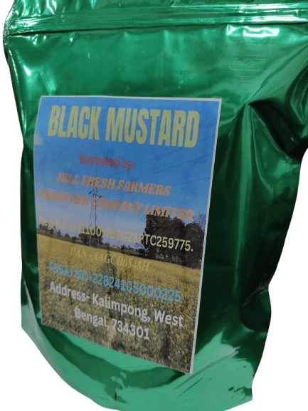 Organic Black Mustard view 2