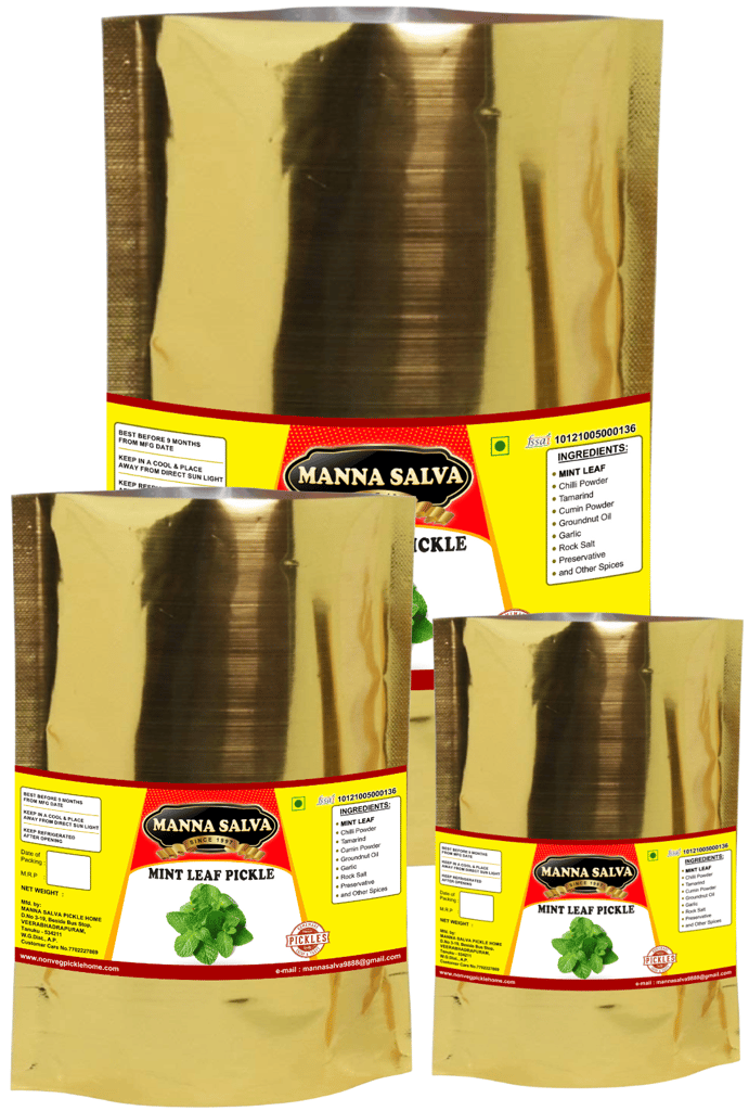 Manna Salva Pickles- MintLeaf Pickle - Veg Pickle view 2