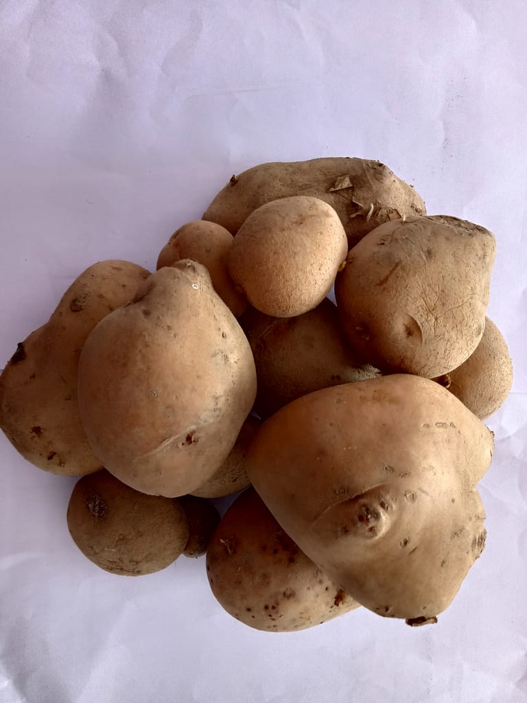 Chandramukhi Potato 2 kg view 2
