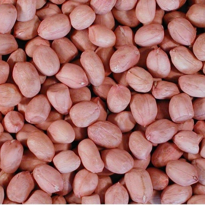 GROUNDNUT (Deshelled) - 1 KG view 2