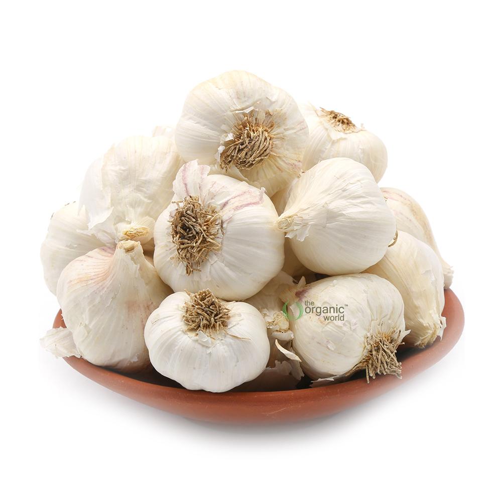 SS GARLIC