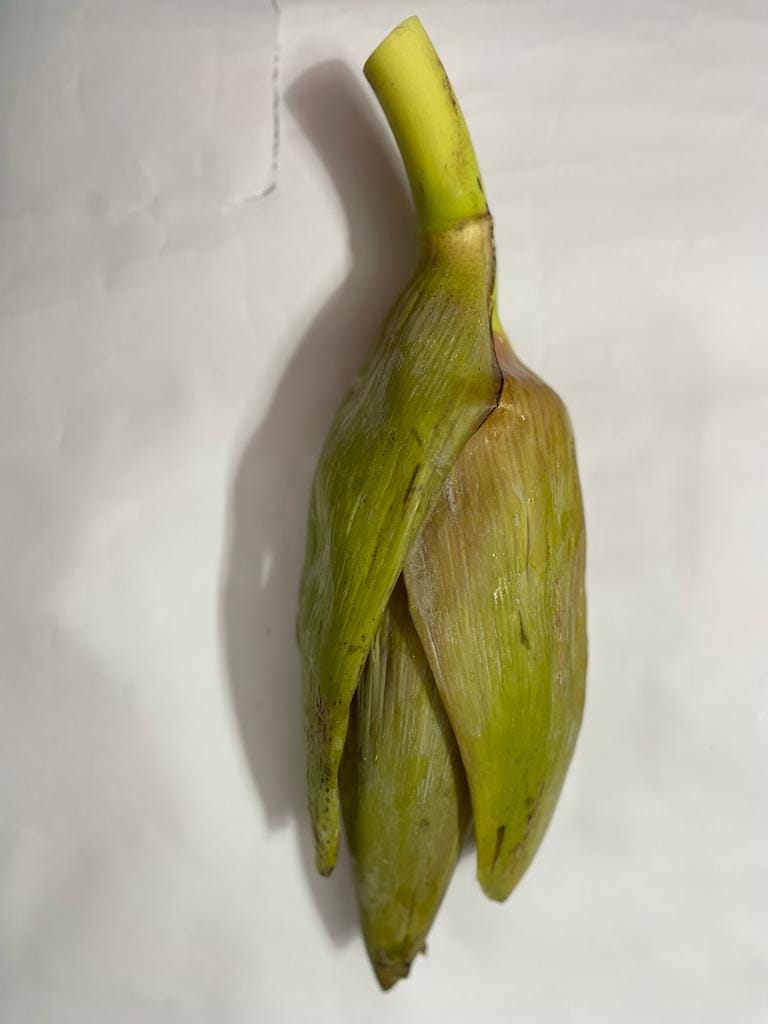 Plantain flower