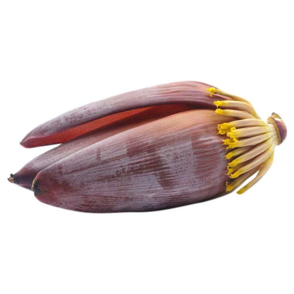 Plantain flower view 2