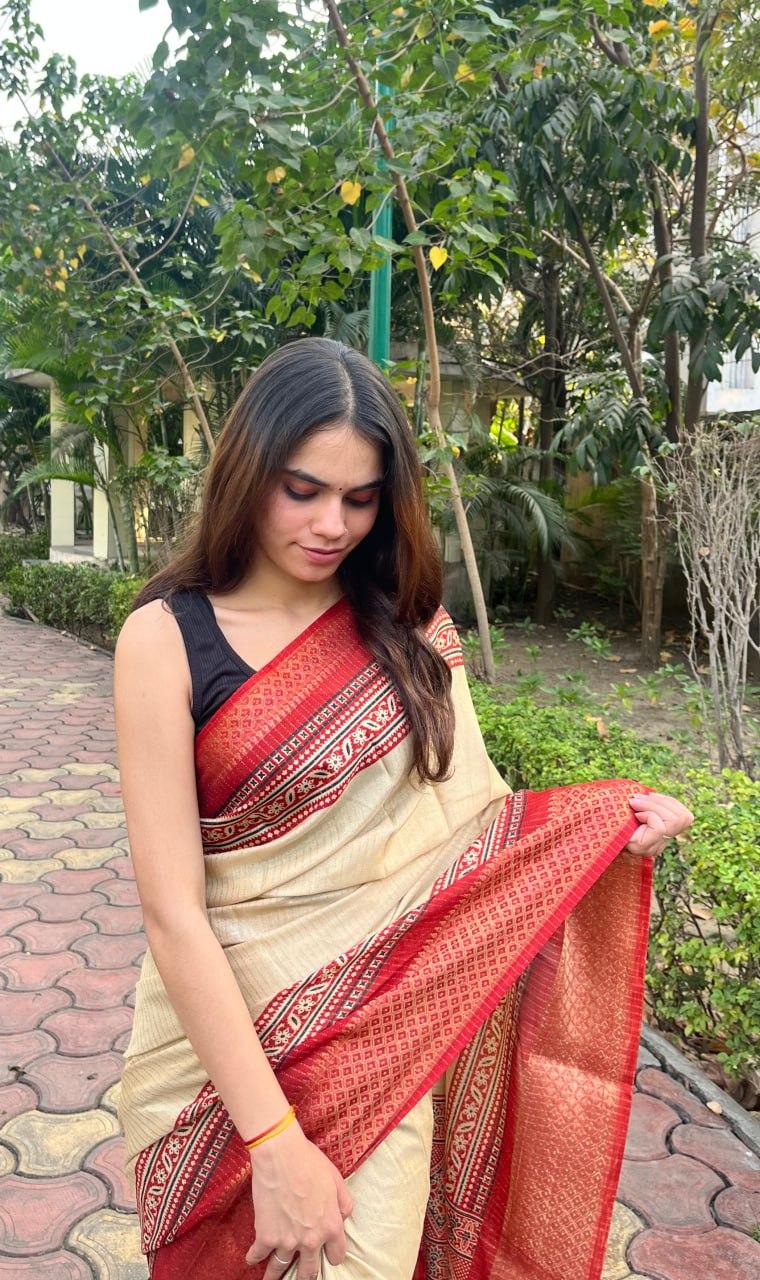 New Dola Silk Saree view 2
