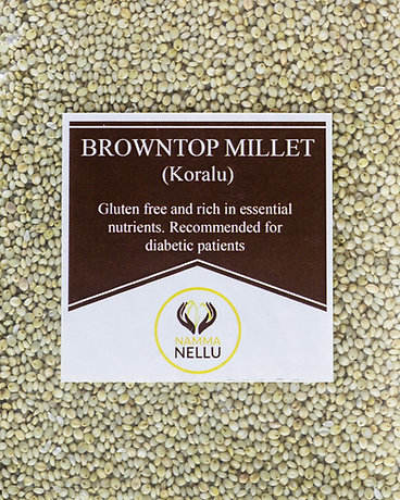 Browntop Millet - 500 Gms view 2