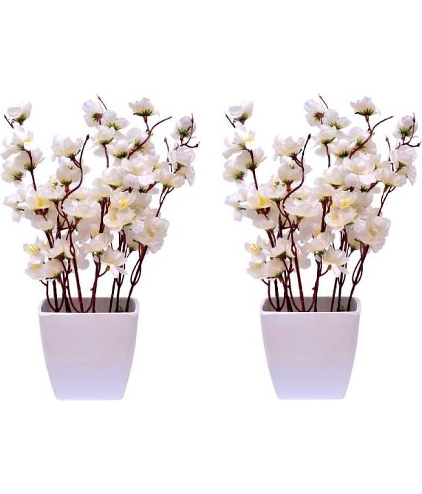 Green plant indoor Orchids White Flowers With Pot - Pack of 2 view 2