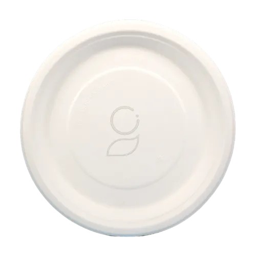 Round Plain Plate 10 inch -Standard (100 Pcs)