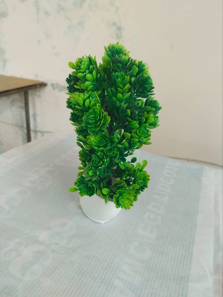 Bonsai Tree in White Potted Plant view 2