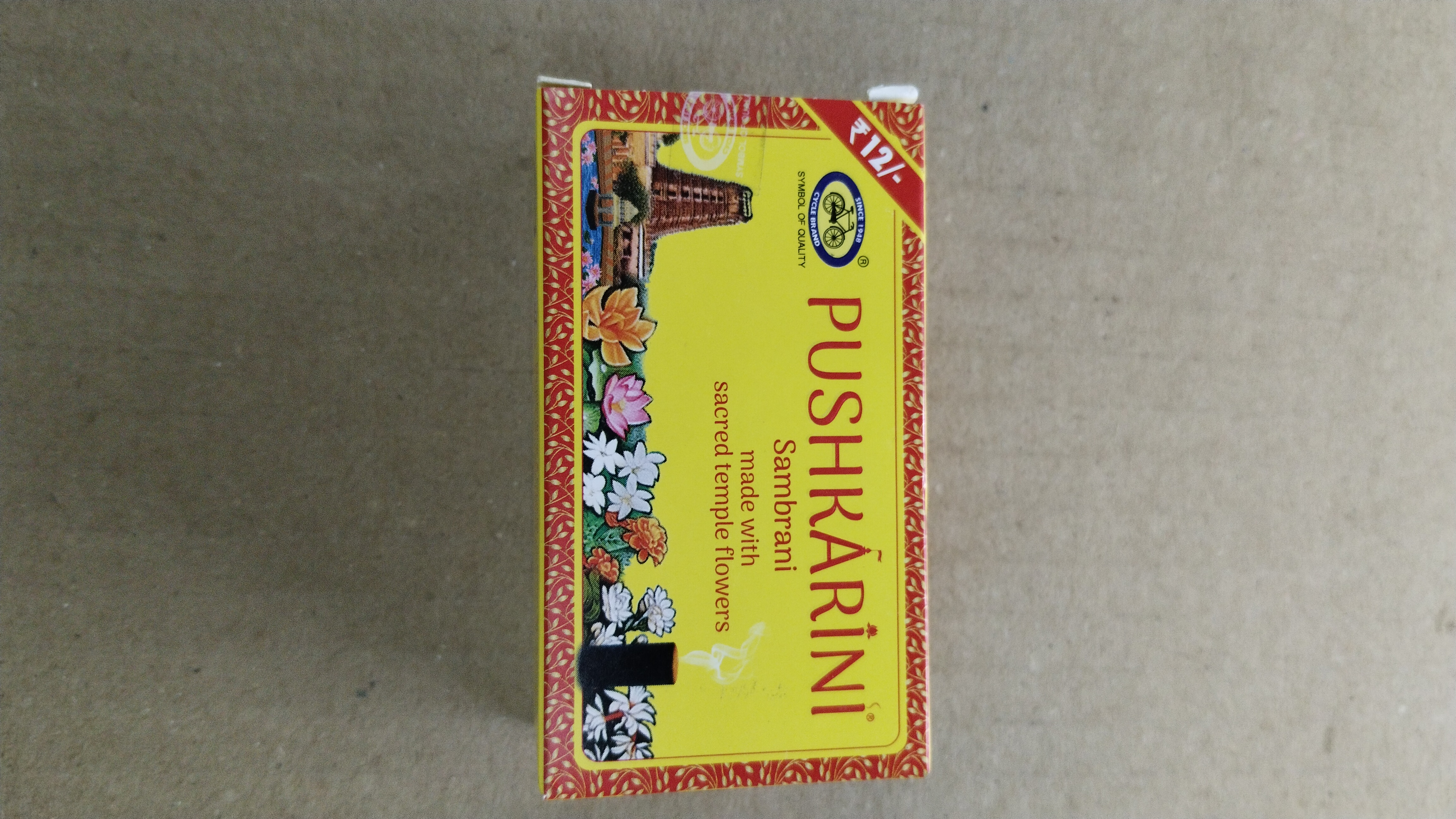 Cycle pushkarini sambrani