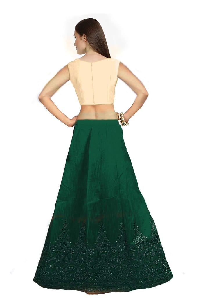 Florence Women Lehenga Choli view 2