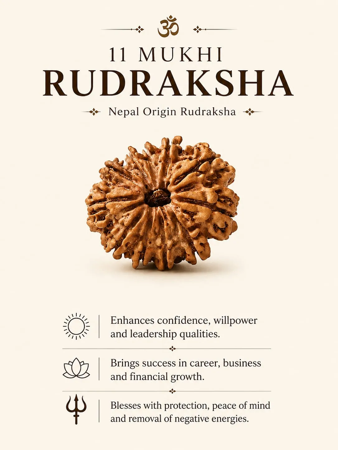 11 MUKHI (18-25 MM) RUDRAKSH NEPAL