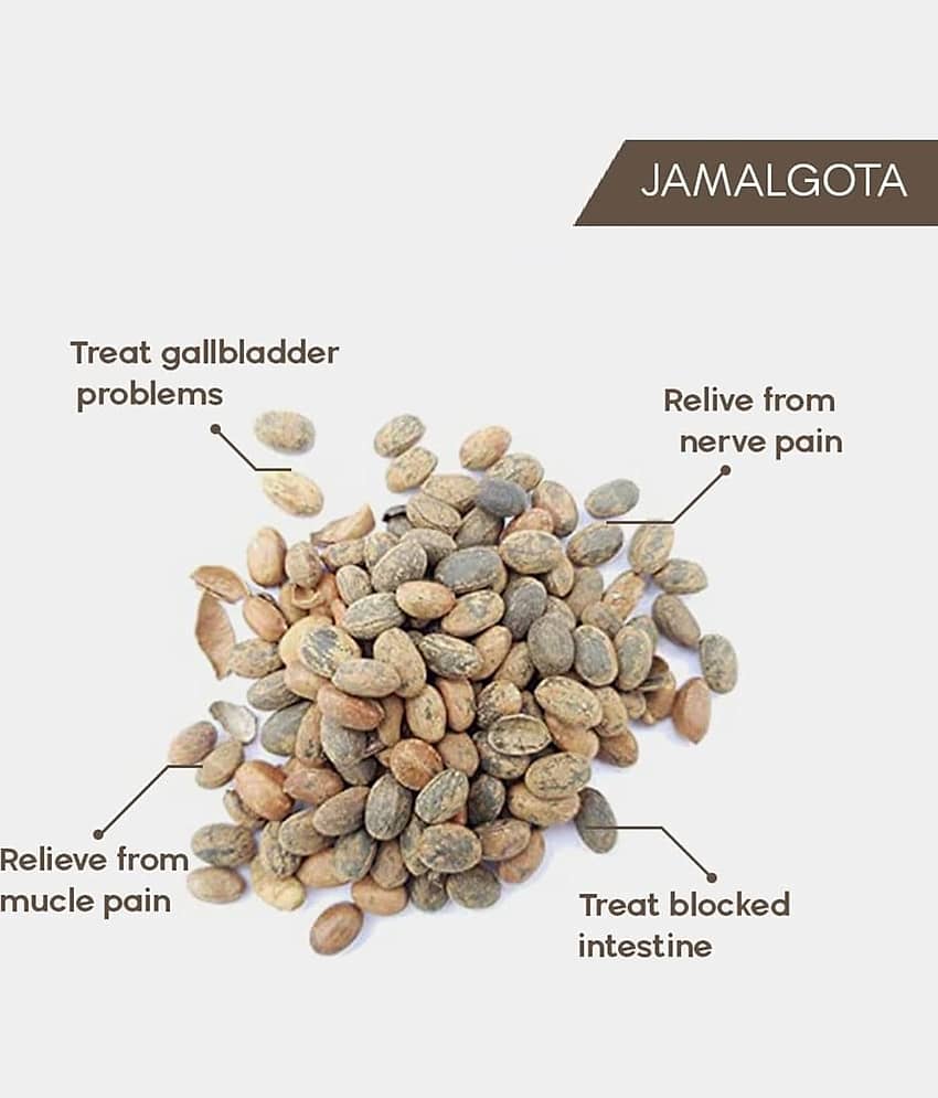 Donnara Organics Jamalgata Hair Growth Powder For Hair Fall Control Solution 100 gm view 2