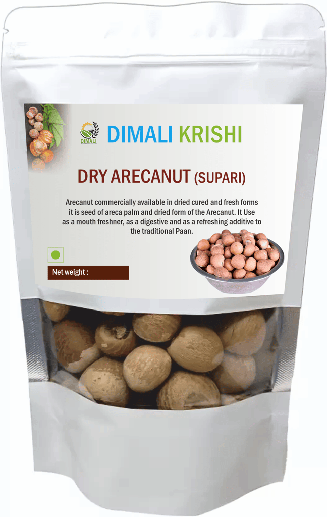 Dry Areca Nut view 2