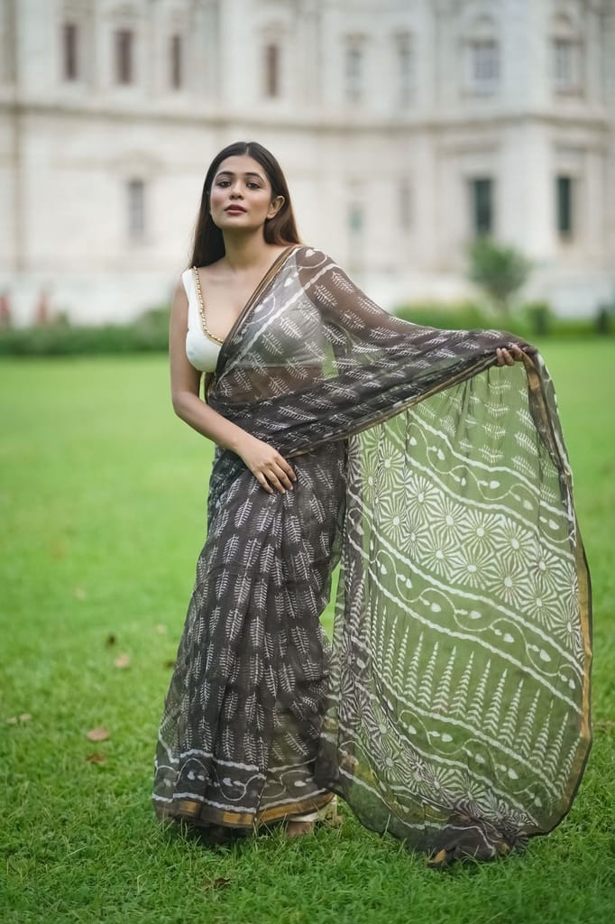 KaisorI Malhar Kashish Kota blockprinted cotton silk saree view 2