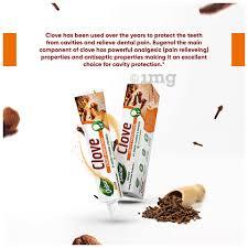 DABUR HERBL CLOVE TOOTHPASTE 200G view 2