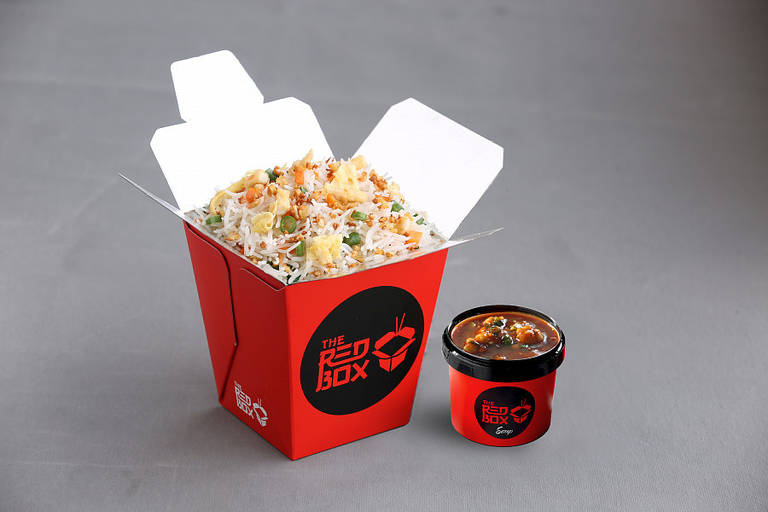 Chicken Fried Rice + Chicken Manchurian (gravy)