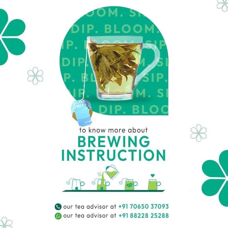 Woolah MONTHY COMBO of 8 Packs - World's 1st Bagless Whole Leaf Organic Tea Dip| 120 pcs | Naturally Anti-Oxidant | Relieves Stress | Plastic-free view 2