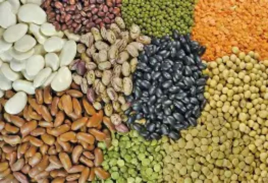 Mixed Pulses and Lentils Assortment - 100 kg - One bulk pack of assorted pulses view 2