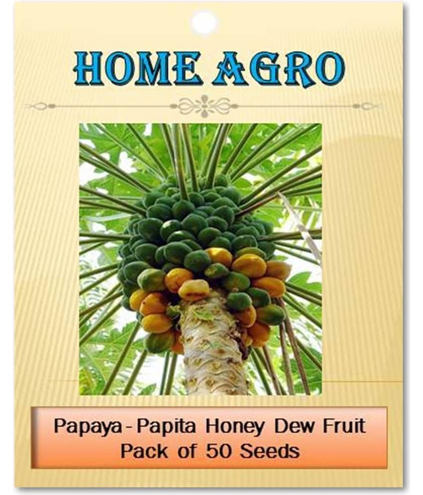 homeagro - Papaya Fruit ( 50 Seeds ) view 2