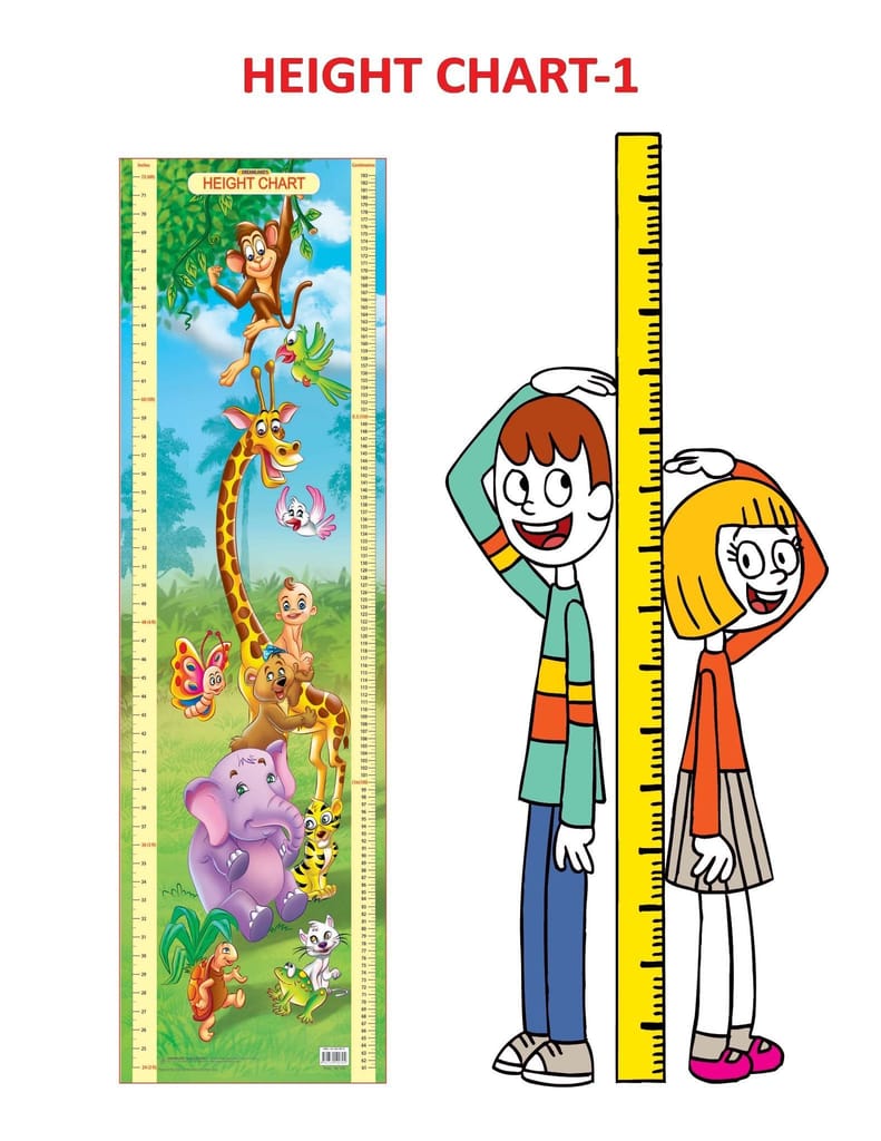 Height Chart-1 [Paperback] Dreamland Publications view 2
