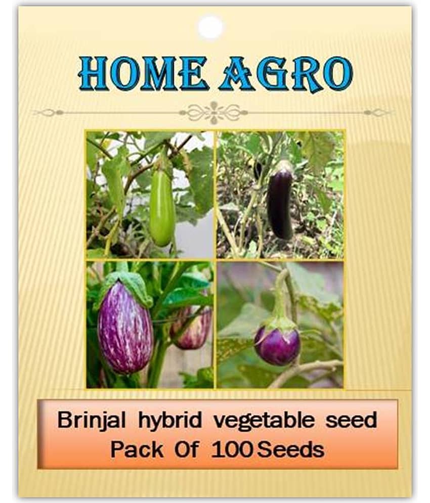 homeagro - Brinjal Vegetable ( 100 Seeds ) view 2