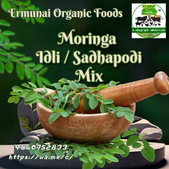 Moringa Sadhapodi Mix 100 Gms view 2