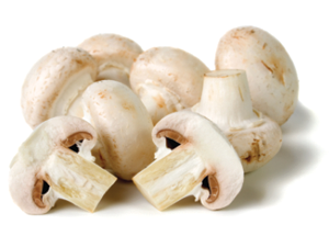 Button Mushroom 1 pack (200 - 250 gms)