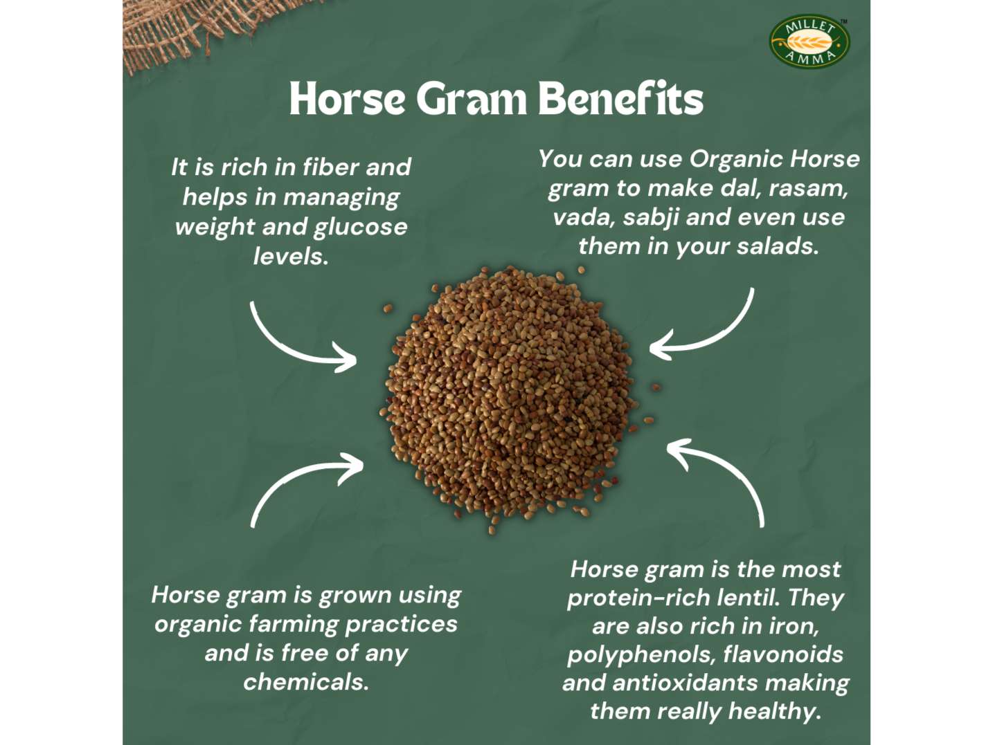 Horse Gram view 2