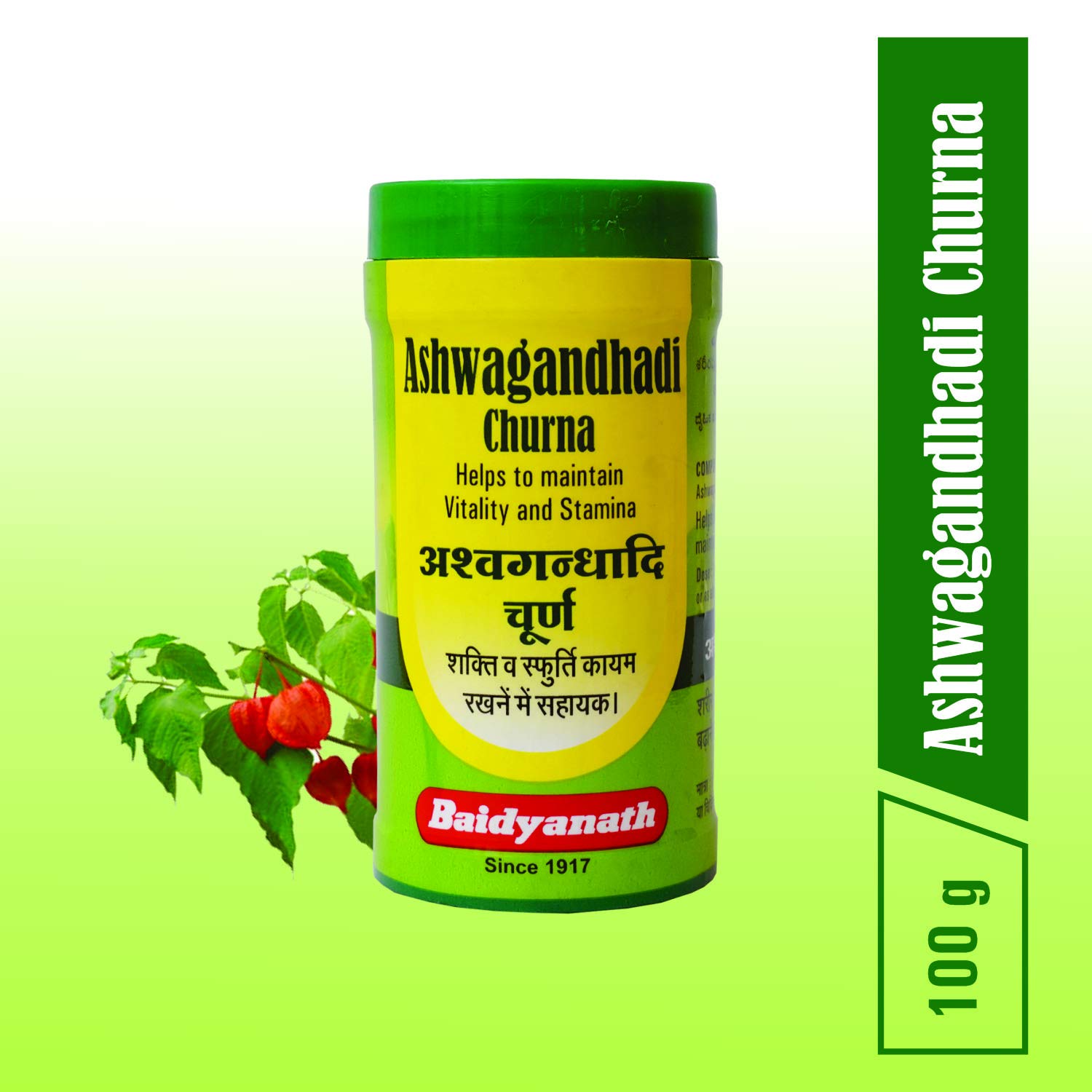 Baidyanath Ashwagandhadi Churna 100 Gms